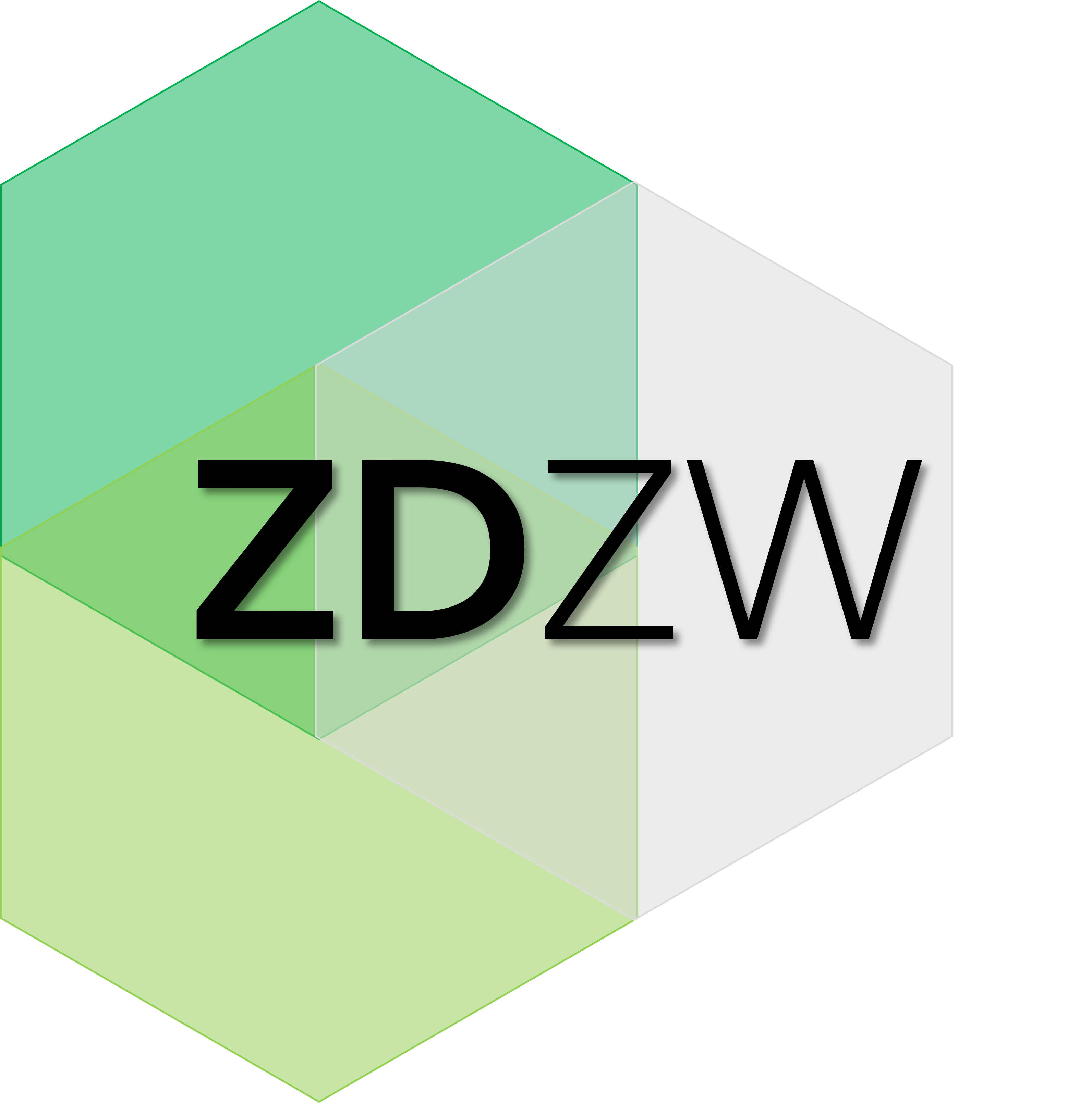 ZDZW Project